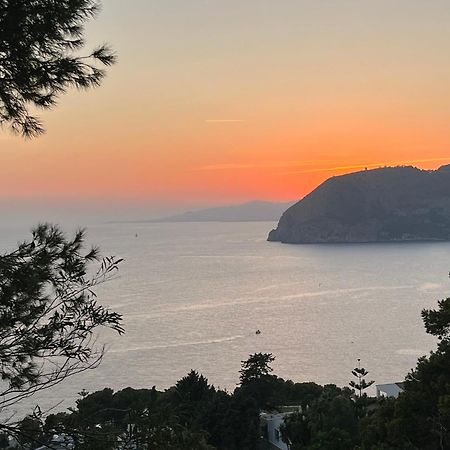 فيلا Sunset Bay لا هيرادورا المظهر الخارجي الصورة